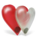 £5 OFF orders over £30 on Valentines Day from Gizoo.co.uk